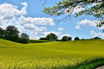 Landschaft rund um Werkhausen